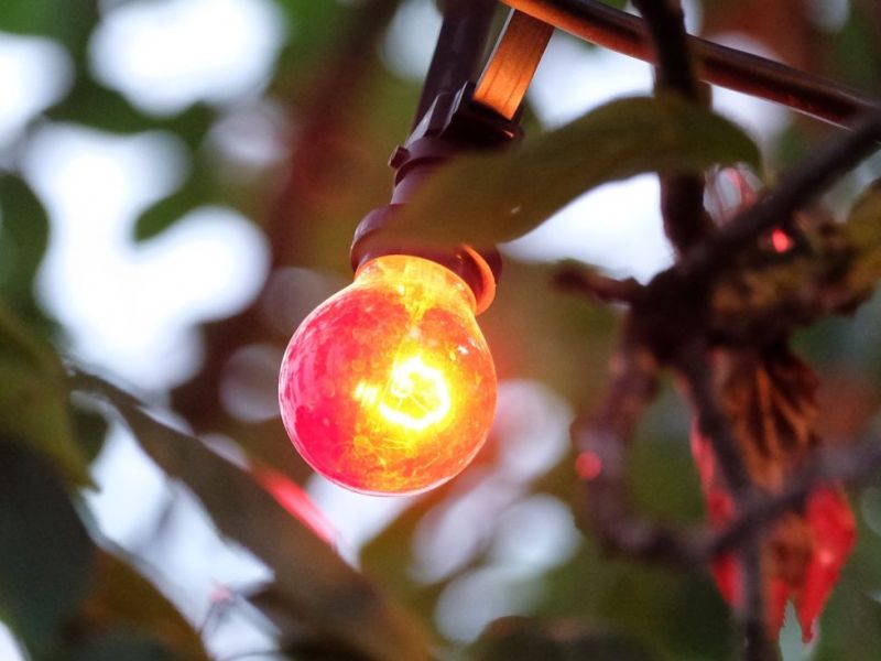 Glittering lights in trees. Patio atmosphere at the Altonaer Rathaus.