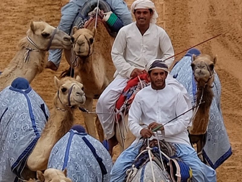 Camel racing in Nad Al Sheba.